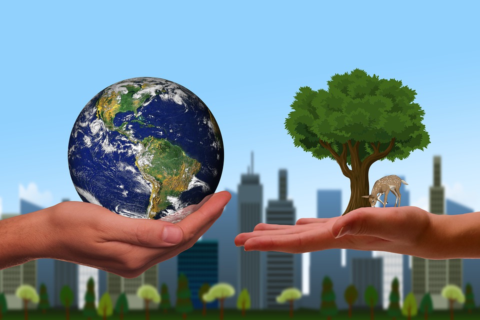 Eco-Friendly Printing: How to Reduce Your Environmental Impact